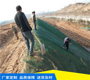 《天津》本地-塑料固土网-可批发零售