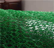 《广州》直销土工网垫_边坡绿化三维植被网——生产厂家欢迎你