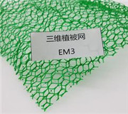 EM3三维植被网厂家-三维土工网垫价格（（防水土流失））