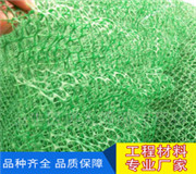 锡林郭勒本地-塑料固土网-品质可靠