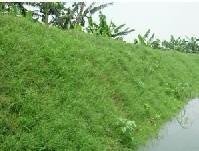 日喀则直供草籽生态袋厂家--荒山绿化