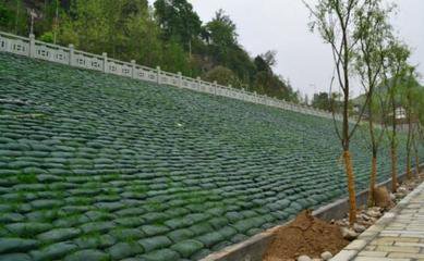 《福州》当地绿化生态袋生产基地