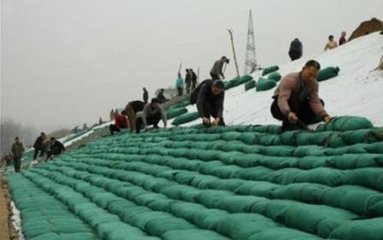 广州周边种草生态袋批发市场