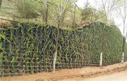 海口土工格室用于河道固土绿化