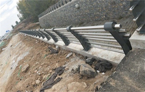 东营不锈钢复合管河道护栏按图生产