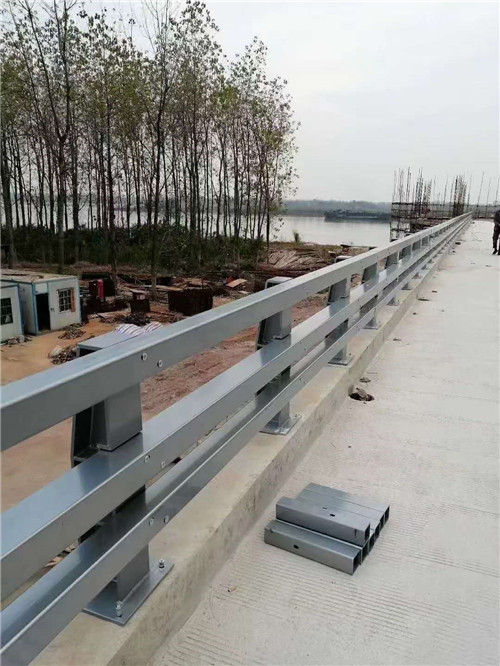 郴州不锈钢复合管道路护栏批发  
