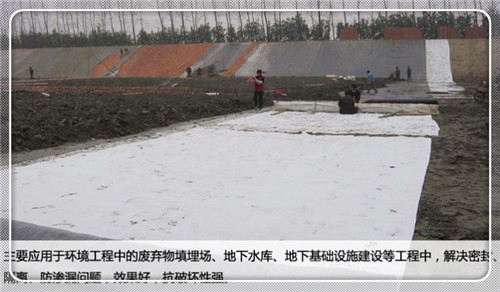 梅州经营赤峰膨润土防水垫层公司欢迎你欢迎光临
