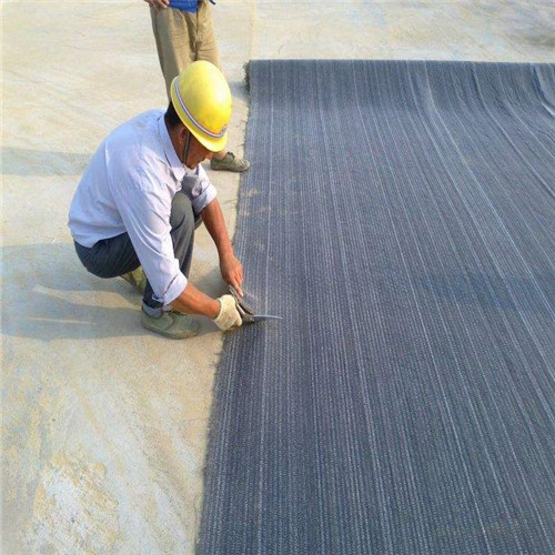 三亚周边资讯——湖南垃圾填埋场用防水毯厂家   