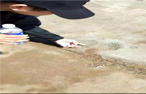 乃东高强水泥修补砂浆公司以质量求生存